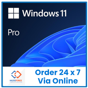 Microsoft ESD Windows 11 Professional | Microsoft ESD Product Key Via EMAIL (No Refunds)